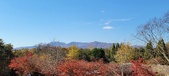 Enlarge photo 330