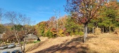 Enlarge photo 346