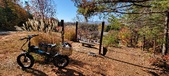 Enlarge photo 347