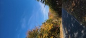 Enlarge photo 348