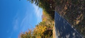 Enlarge photo 349