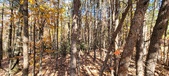 Enlarge photo 353