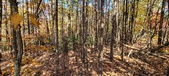 Enlarge photo 354