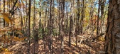 Enlarge photo 356