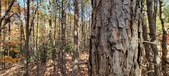 Enlarge photo 357