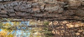 Enlarge photo 358