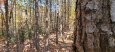Enlarge photo 359