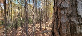 Enlarge photo 360