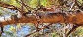 Enlarge photo 363