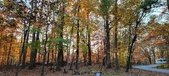 Enlarge photo 370