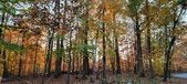 Enlarge photo 373