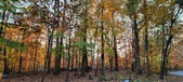 Enlarge photo 372