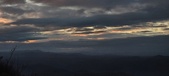 Enlarge photo 382