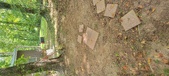 Enlarge photo 78