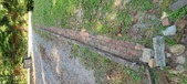 Enlarge photo 76