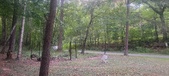 Enlarge photo 66