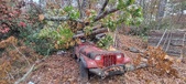 Enlarge photo 52