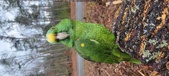 Enlarge photo 7