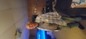 Enlarge photo 45
