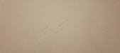 Enlarge photo 88
