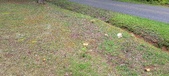 Enlarge photo 55