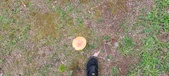 Enlarge photo 54