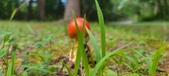 Enlarge photo 48