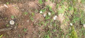 Enlarge photo 45