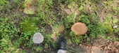 Enlarge photo 44