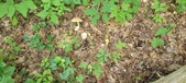 Enlarge photo 43