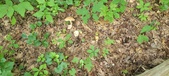 Enlarge photo 42