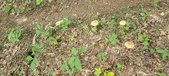 Enlarge photo 40