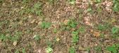 Enlarge photo 39