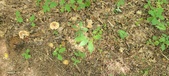 Enlarge photo 38