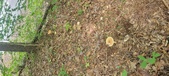 Enlarge photo 37