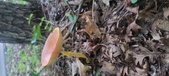 Enlarge photo 32