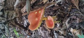 Enlarge photo 31