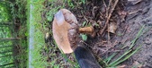Enlarge photo 112