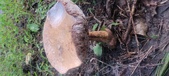 Enlarge photo 105