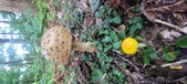 Enlarge photo 102