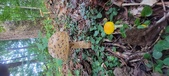 Enlarge photo 100