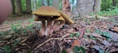 Enlarge photo 94