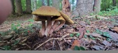 Enlarge photo 110