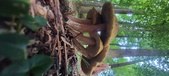 Enlarge photo 92