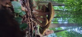 Enlarge photo 90