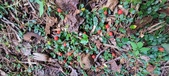 Enlarge photo 89