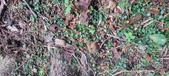 Enlarge photo 88