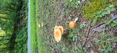 Enlarge photo 80