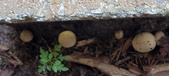 Enlarge photo 75
