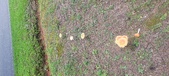 Enlarge photo 72